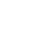 logo-2 loyno